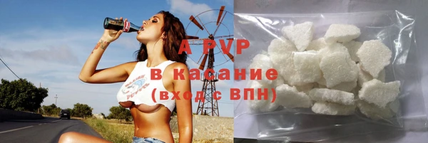 СК Алексин